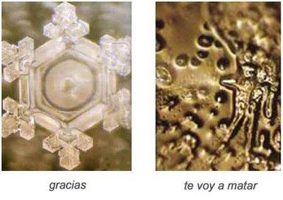_masaru_emoto gracias