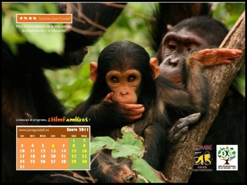 Calendario IJGE ene2011