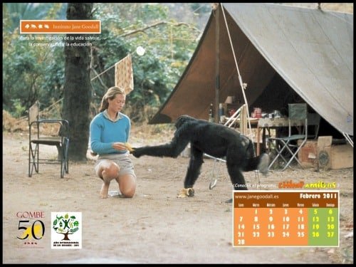Calendario IJGE feb2011 1024