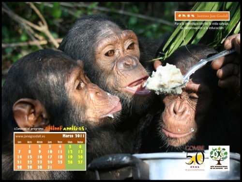 Calendario IJGE mar2011 1024(2)
