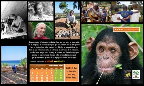 calendario jane